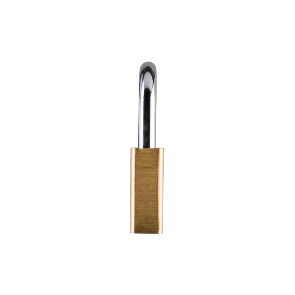 LN60 Lion LN60 Padlock Brass