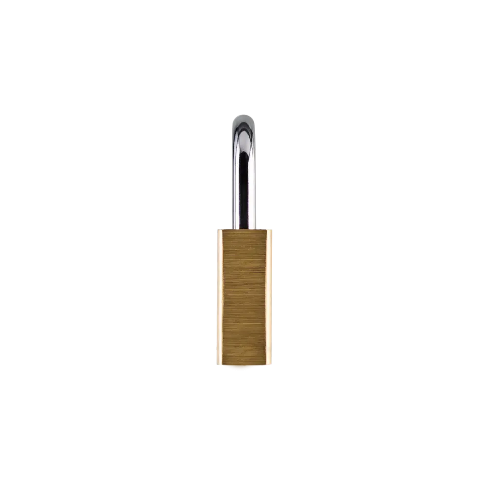 LN4 Lion LN4 Padlock Brass