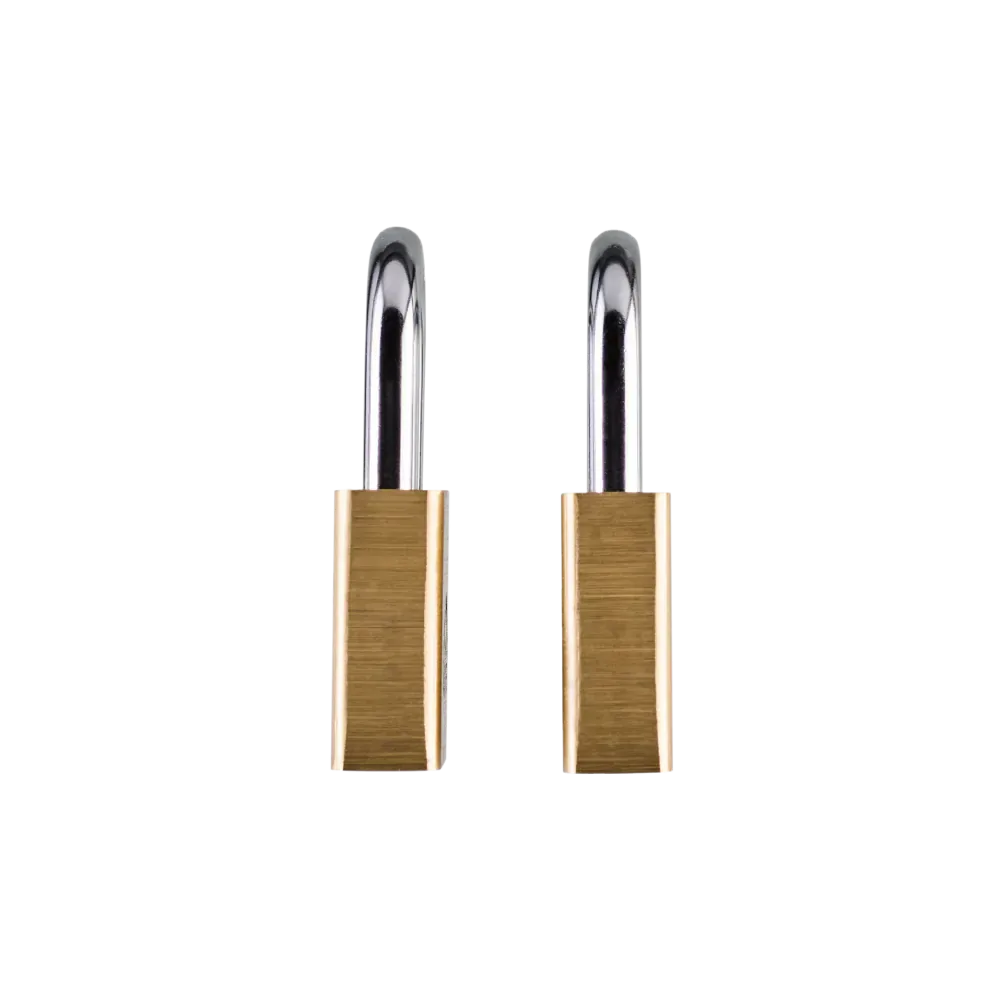 LN5T Lion LN5 Padlock Brass Twin Pack