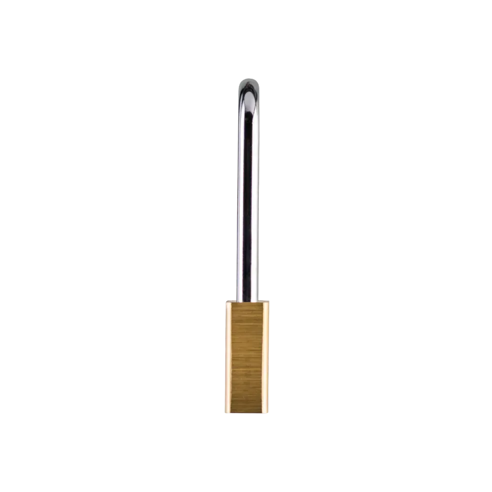 LN5/2.5 Lion Padlock 1.5 VSC