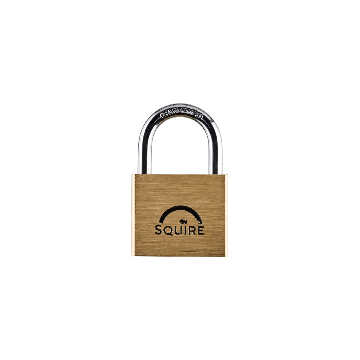 LN4 Lion LN4 Padlock Brass